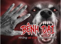 Phòng bệnh dại - Căn bệnh truyền nhiễm đáng sợ nhất lịch sử nhân loại
